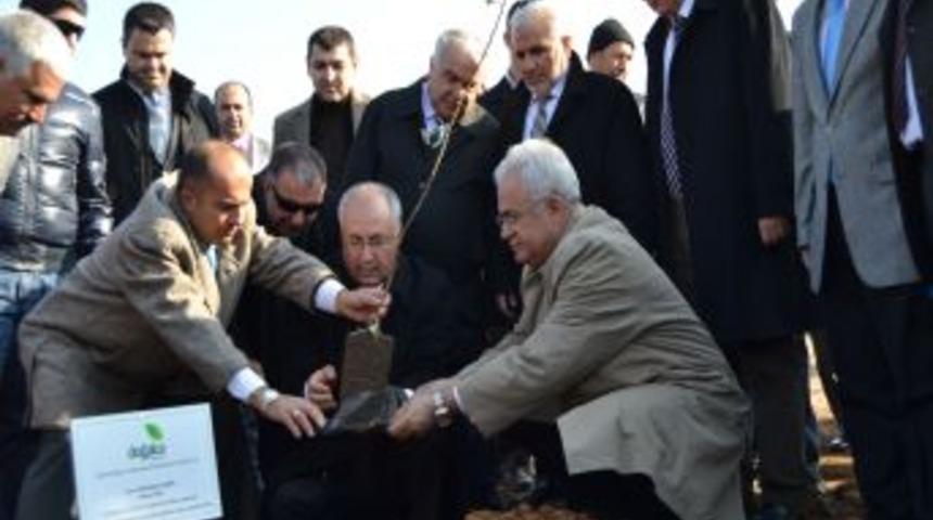 Saruhanlı'da 2 bin 154 bin dekar alana fidan dikilecek