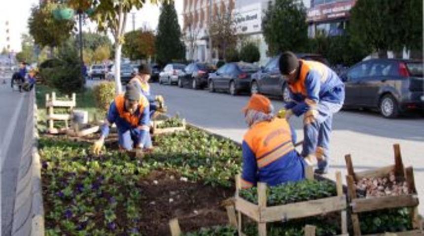 Gaziantep&rsquo;e 1 milyon 100 bin &ccedil;i&ccedil;ek dikildi