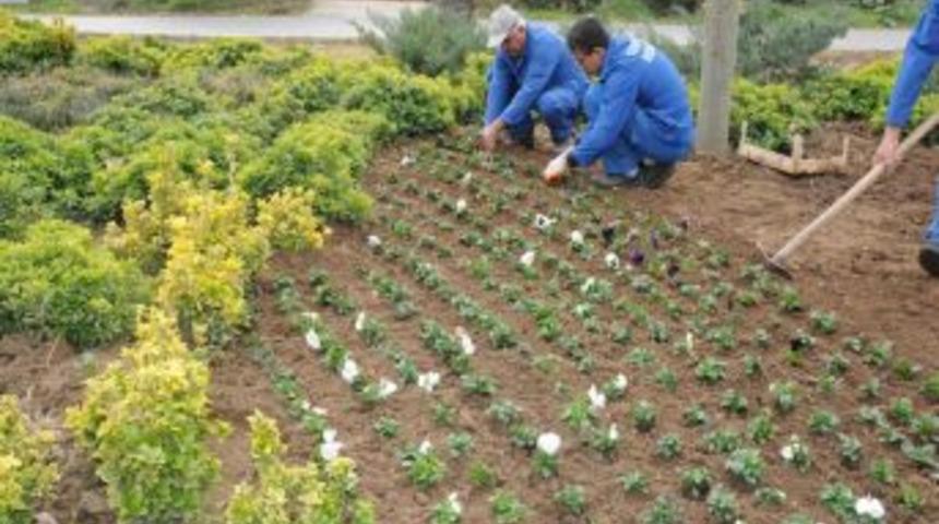 Konyaaltı'ndaki parklarda kış hazırlığı devam ediyor