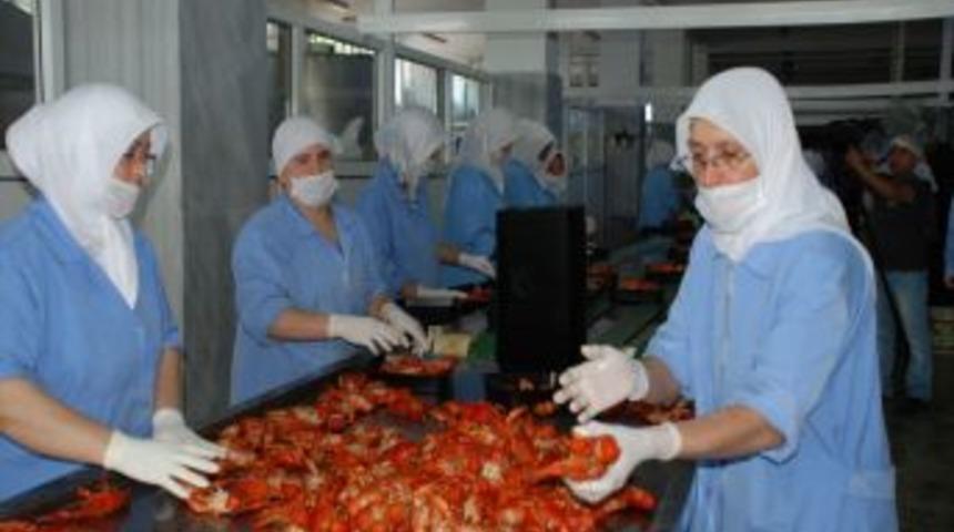 Eğirdir G&ouml;l&uuml;&rsquo;nde bilin&ccedil;li avcılıkla kerevit &uuml;retimi yeniden canlanıyor