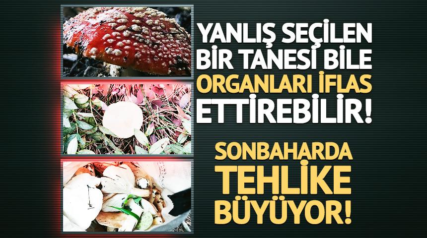 Mantar pişince zehri ge&ccedil;iyor sanıyorsanız yanılıyorsunuz!