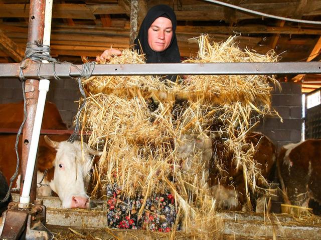 İki inekle başladığı hayvancılıkta k&ouml;y&uuml;n "hanımağa"sı oldu