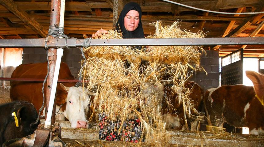 İki inekle başladığı hayvancılıkta k&ouml;y&uuml;n "hanımağa"sı oldu