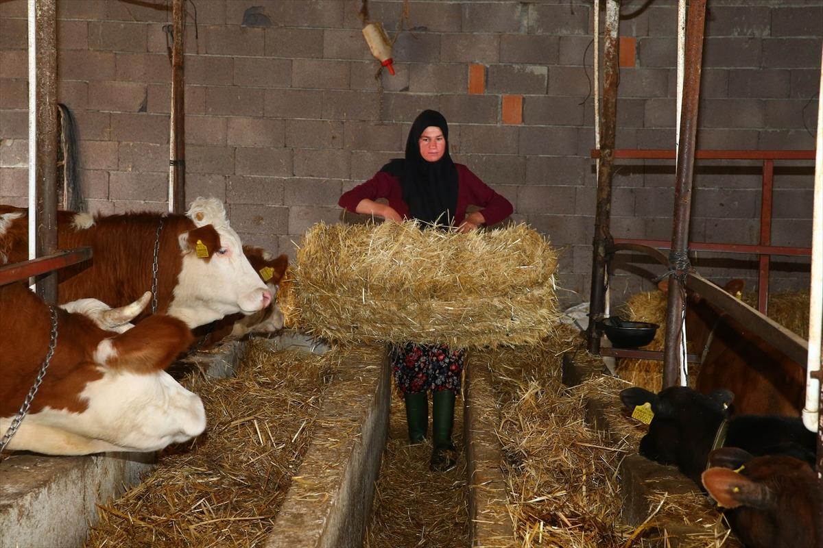 İki inekle başladığı hayvancılıkta k&ouml;y&uuml;n "hanımağa"sı oldu 5