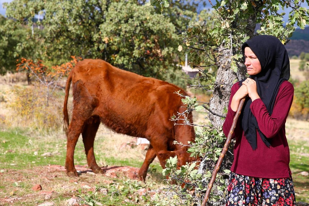 İki inekle başladığı hayvancılıkta k&ouml;y&uuml;n "hanımağa"sı oldu 6