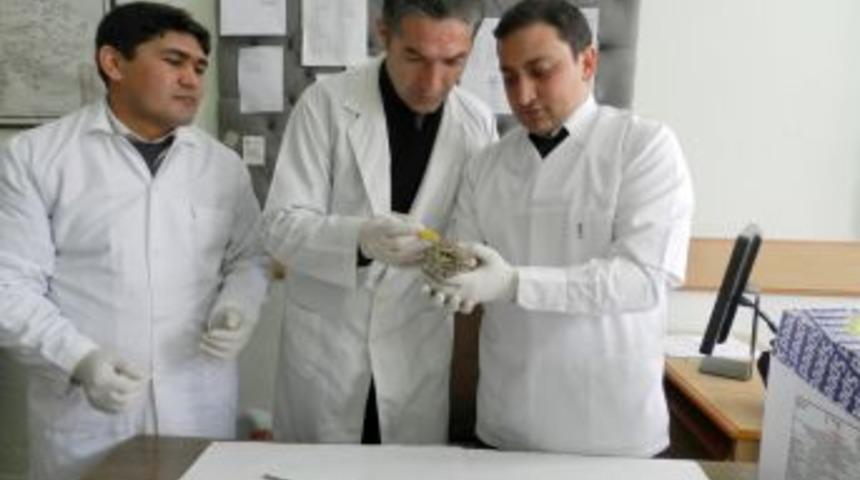 Yaralı baykuşa şefkat eli uzandı