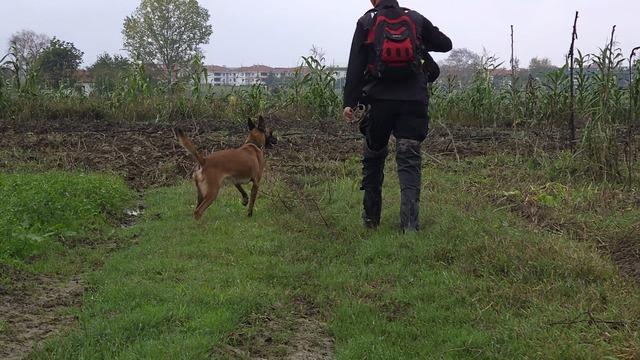 6 gündür kayıp olan Emrah, özel eğitimli köpekler ve dronla aranıyor 3