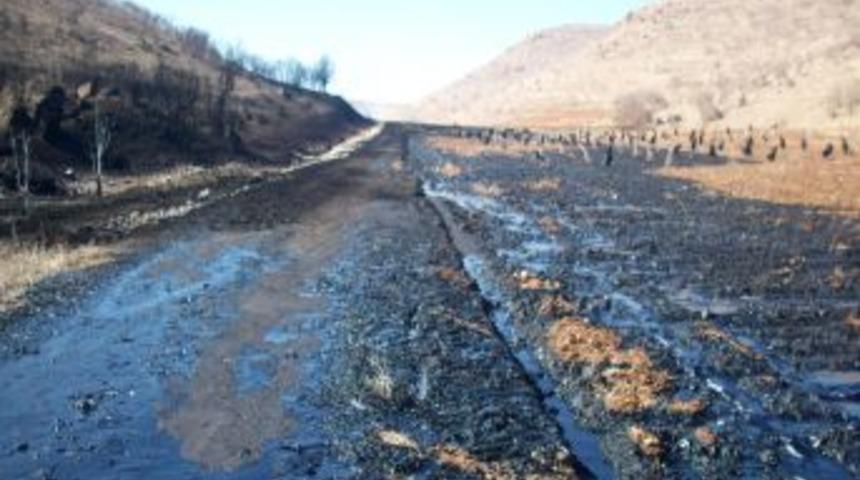 Ter&ouml;ristlerin patlattığı boru hattından sızan petrol ekili alanlara zarar verdi