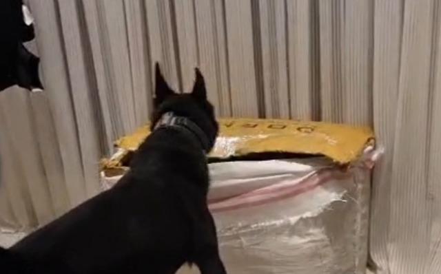 Antalya’da zehir tacirine operasyon kamerada: 7,5 kilogram esrar ele geçirildi 4