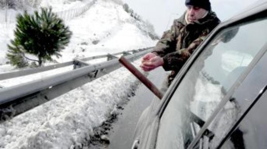 Kar yağışı başladı, kuşlar yine unutulmadı