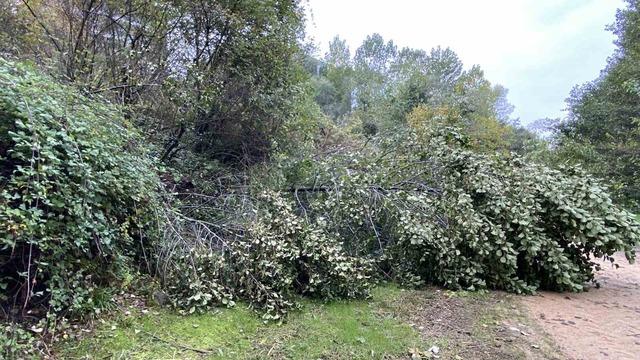 İstinat duvarı çöktü, kayan toprak çocuk parkını yuttu 3