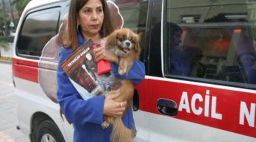 Yaralı k&ouml;pek i&ccedil;in ambulans aldı, belediye teslim edemedi