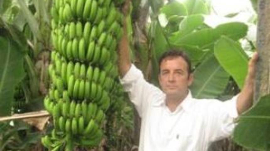 Muz fiyatları tavan yaptı