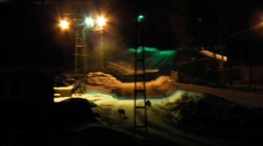 Sarıkamış'ta a&ccedil; kalan kurtlar şehir merkezine indi