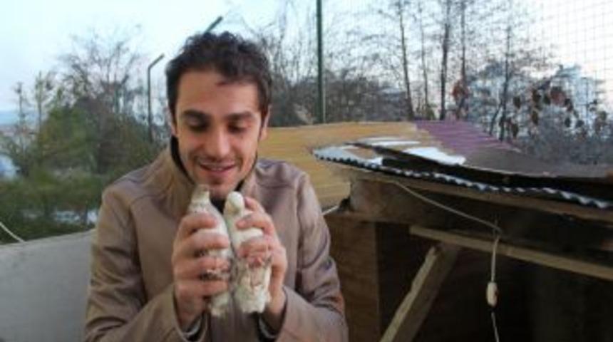 Abdurrahman Dereli: Orduspor, Hector Cuper ile takım ve kazanma ruhunu kazandık