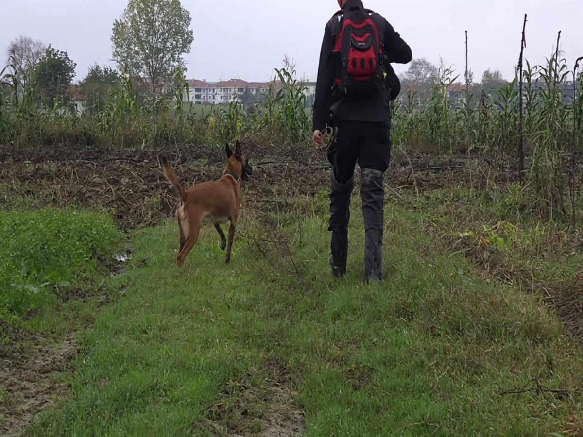 6 gündür kayıp olan Emrah, özel eğitimli köpekler ve dronla aranıyor 4
