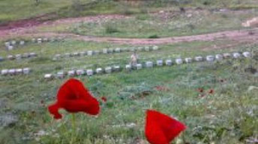 DİKA desteğiyle Siirt'te organik arıcılık projesi y&uuml;r&uuml;t&uuml;l&uuml;yor