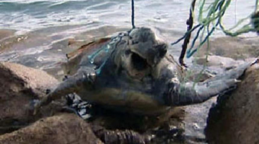 Carettayı iple boğarak öldürdüler