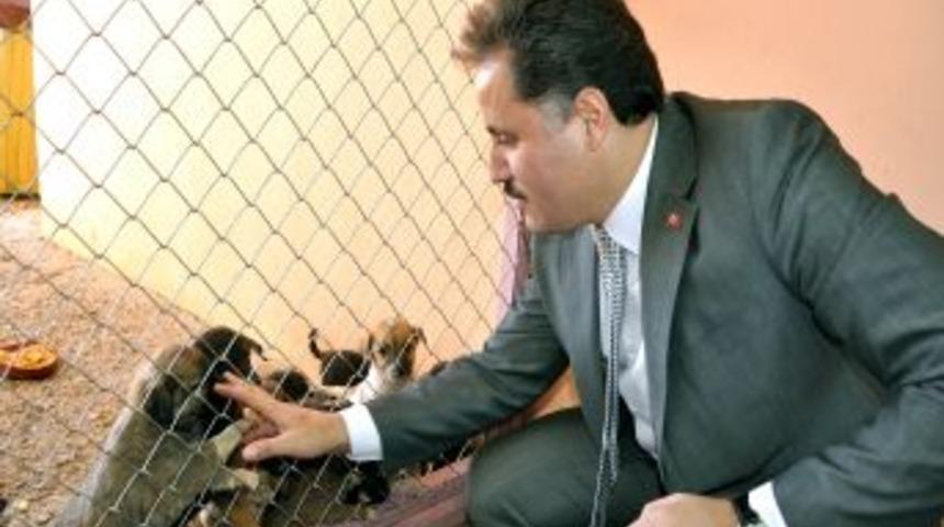 Malatya&rsquo;da hayvan bakımevi genişletiliyor