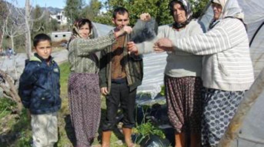 Anamur'u da kar dondurdu