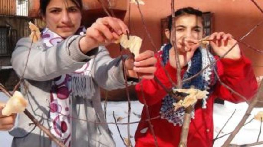 &Ccedil;ocuklar kuşları beslemek i&ccedil;in 'ekmek ağacı' modeli geliştirdi