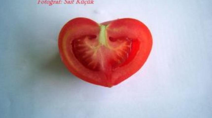 Domatesten kalp ve akciğer &ccedil;ıktı