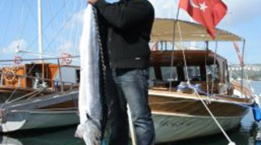 D&uuml;nyanın en hızlı balığını zıpkınla avladı