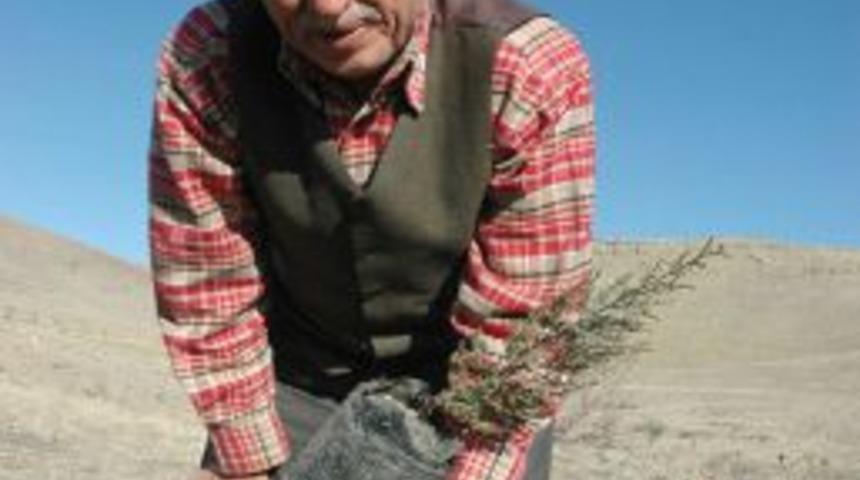 Emekli öğretmen, 13 yılda 30 bin fidanı toprakla buluşturdu