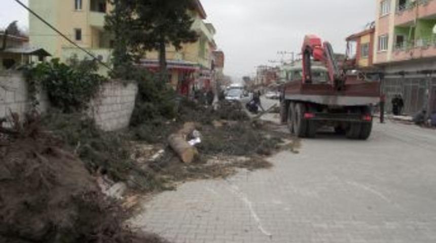 Fırtına D&uuml;zi&ccedil;i'nde ağa&ccedil;ları k&ouml;k&uuml;nden s&ouml;kt&uuml;