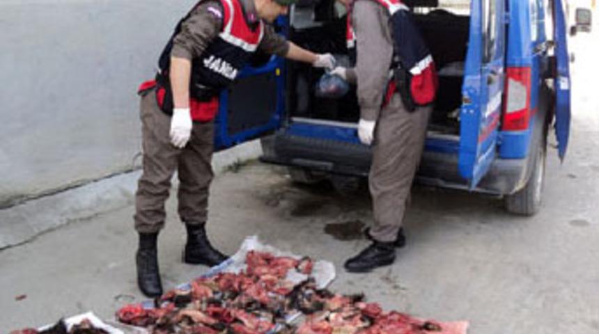 Avladıkları kirpilerle yakalandılar