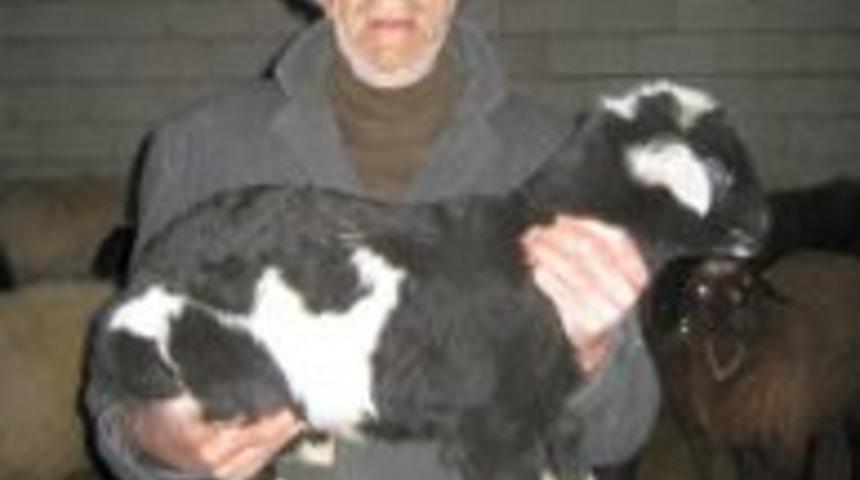 Kuzu &uuml;zerinde Kuran yazısı