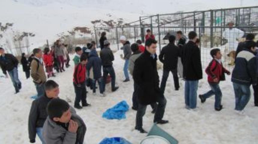 Hayvan sever &ouml;ğrenciler, topladıkları para ile k&ouml;peklere mama aldı