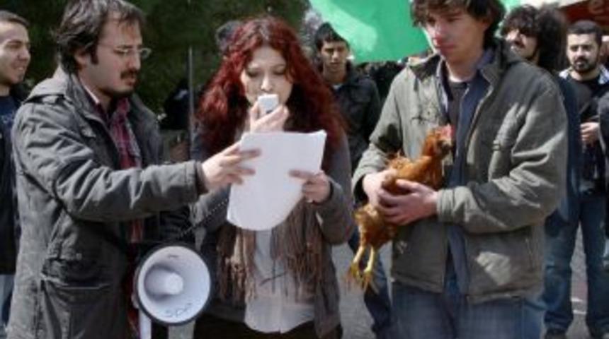 Üniversitede horozlu eylem