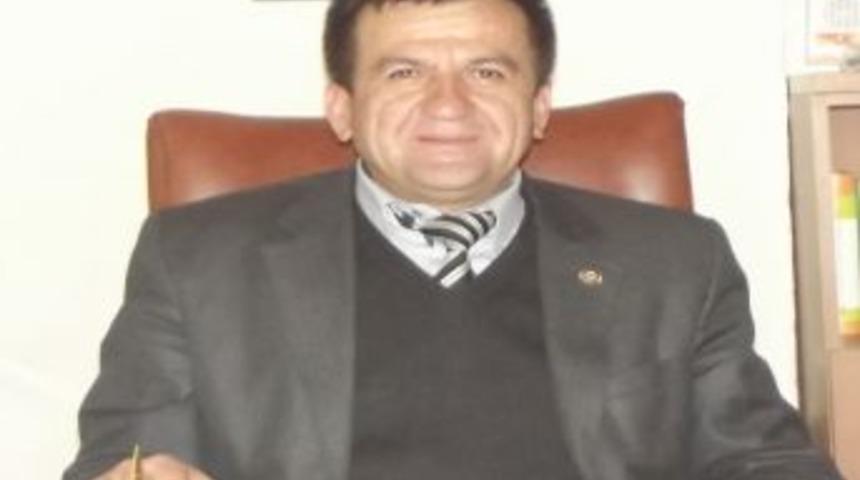 Kekik tarlalarına tekrar t&uuml;t&uuml;n dikilmeye başlandı