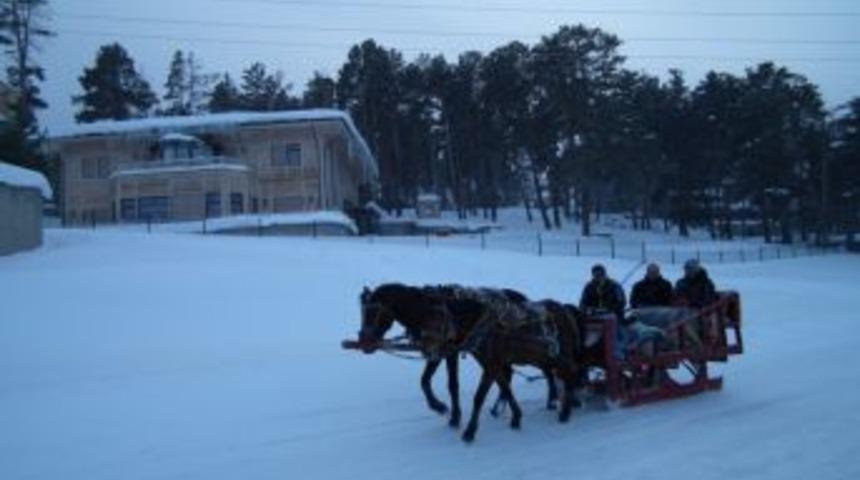 Sarıkamış&rsquo;ta atlı kızak keyfi