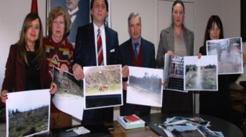 Bursa Barosu Başkanı Birkan: Hayvanların da hak ve hukuklarını korumalıyız