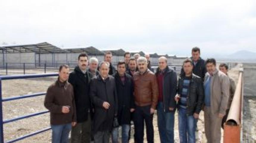 Burdur'da hayvan oteli tamamlanıyor