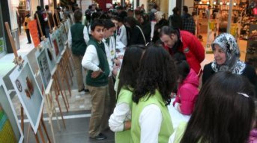 Akıl oyunları sergisi yoğun ilgi g&ouml;rd&uuml;