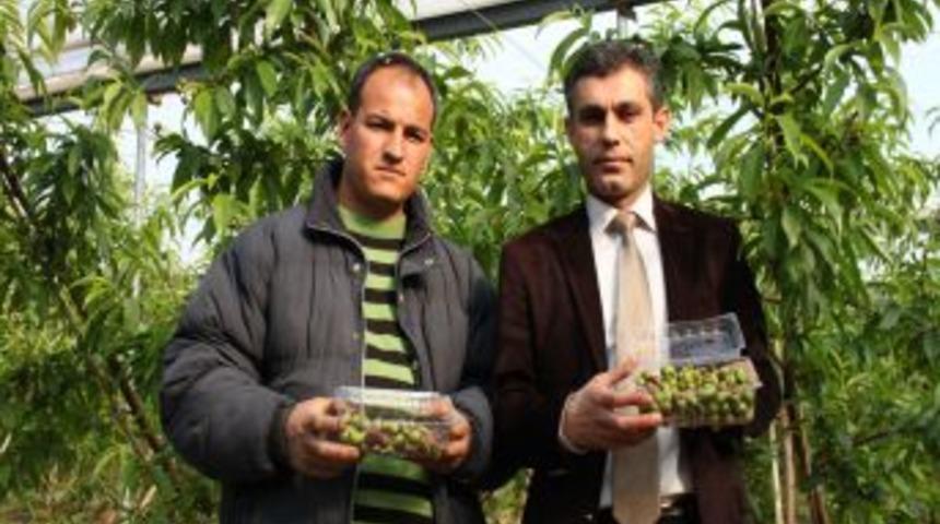 Bah&ccedil;ede 60 lira olan şeftali &ccedil;ağlası, marketlerde 120 liradan satılıyor