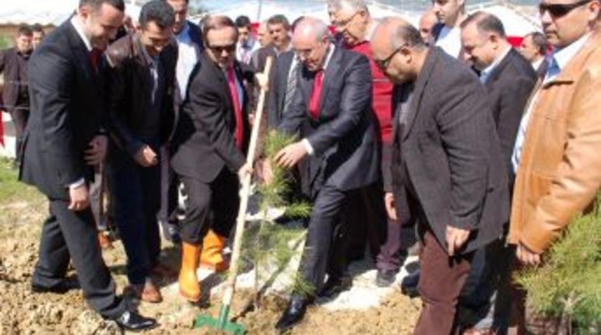 Erciyes İnşaat 5 bin fidan dikimi yaptı