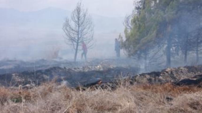 Yangında 20 d&ouml;n&uuml;m k&uuml;l oldu