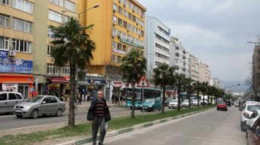 Bursa&rsquo;da lodos etkili oluyor, sobaya dikkat