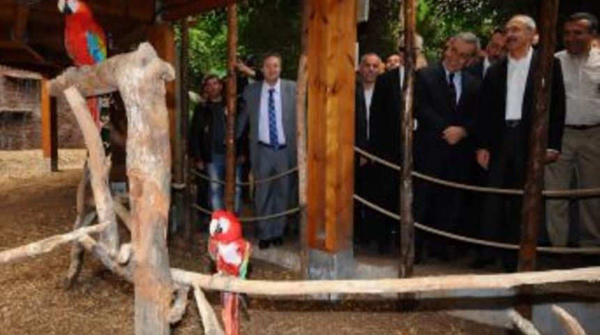 Chp Lideri Sasalı'da