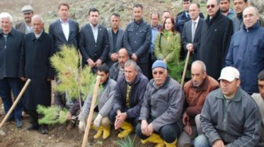 &Ouml;zel İdare Hatıra Ormanı'na 100 Bin Ağa&ccedil; Dikildi