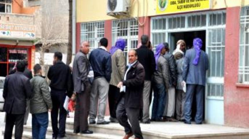 Pamuk Desteklemeleri 2 Nisanda Sone Erecek