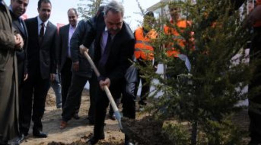 &Ouml;ğrenciler fidanları toprakla buluşturdu