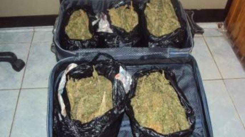 Valizden 5 Kilogram Esrar &Ccedil;ıktı