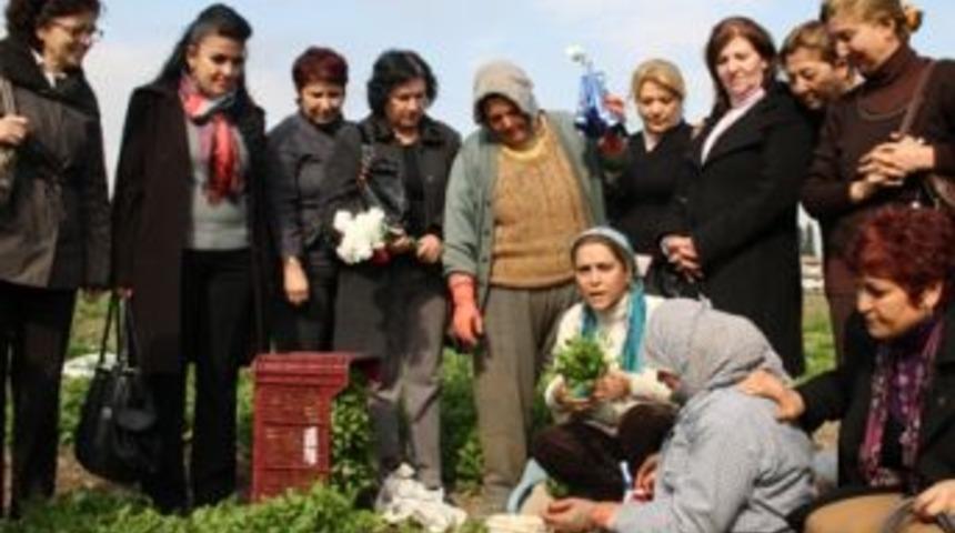 CHP&rsquo;li kadınlar tarlada