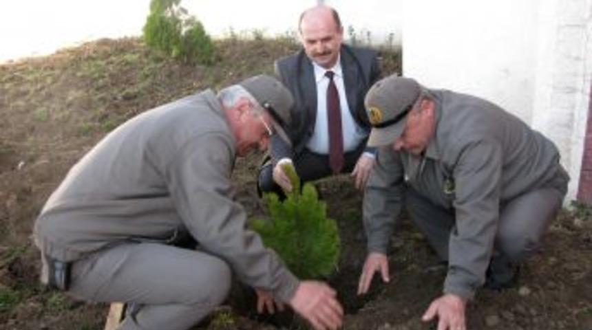 Beyler k&ouml;y&uuml; okulu bah&ccedil;esi dikilen fidanlarla şenlendi
