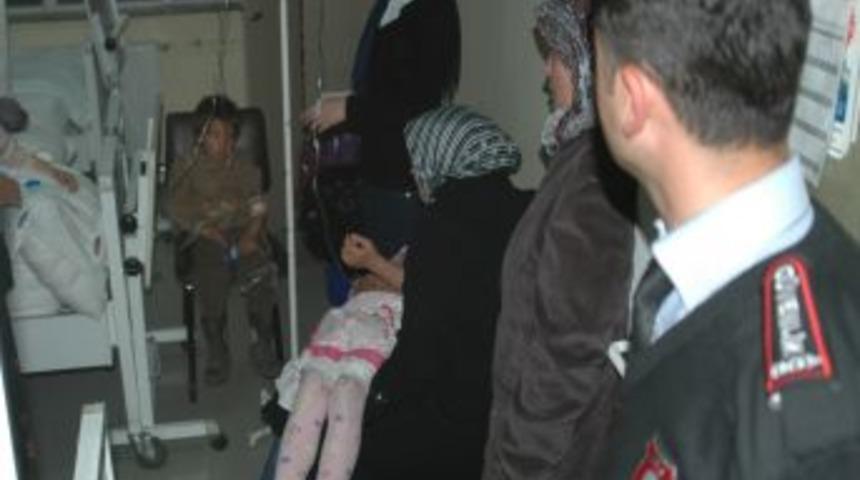 Yabani Otları Maydanoz Zannedip Yiyen 7 &Ccedil;ocuk Zehirlendi